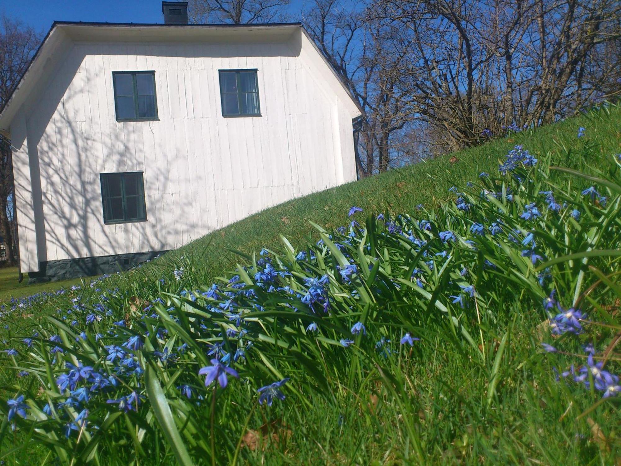 Hellefors Herrgard Hallefors  Bagian luar foto
